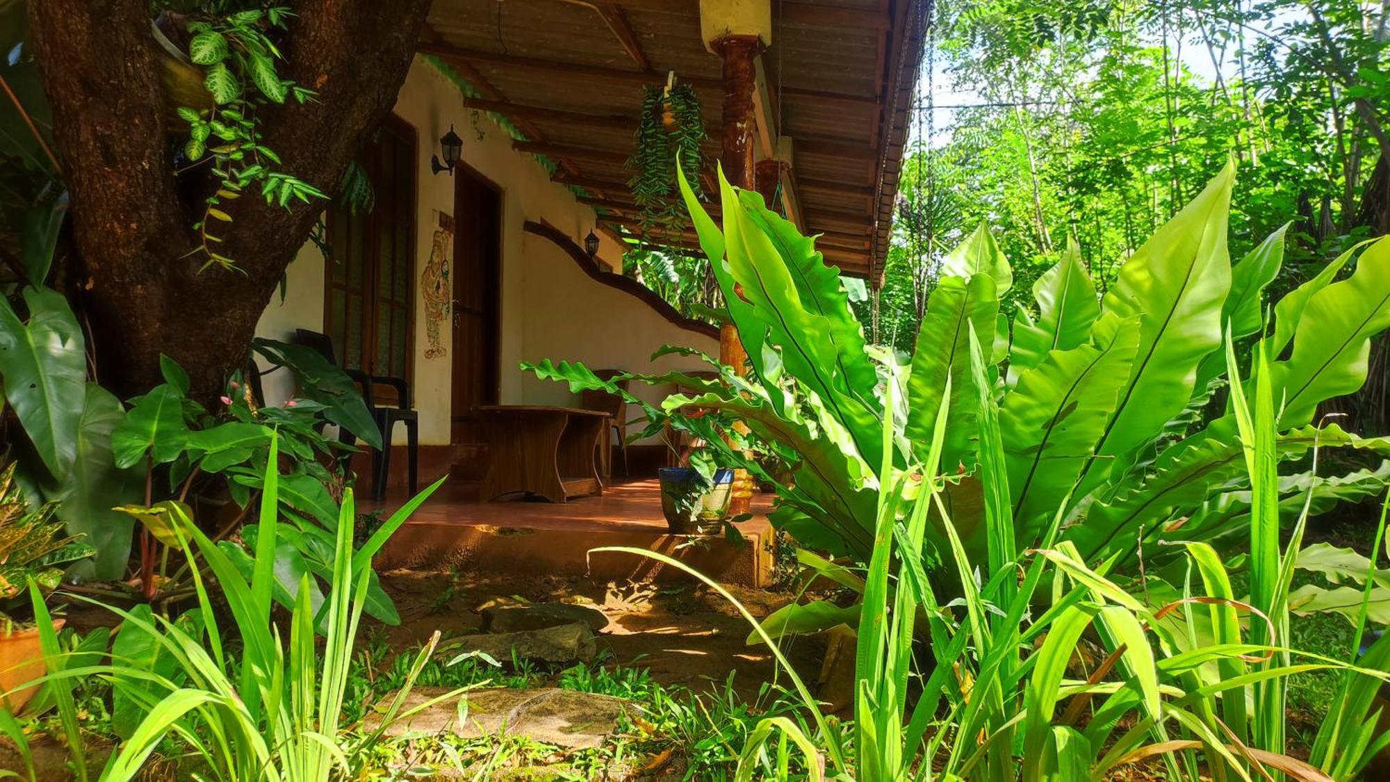 Hotel Jaana Guest Sigiriya Exterior foto